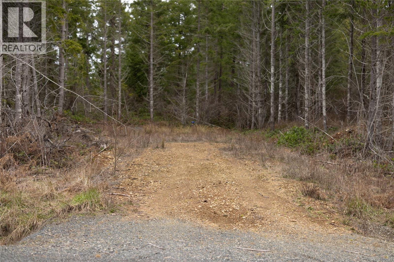 Lot 9 Flail photo 5