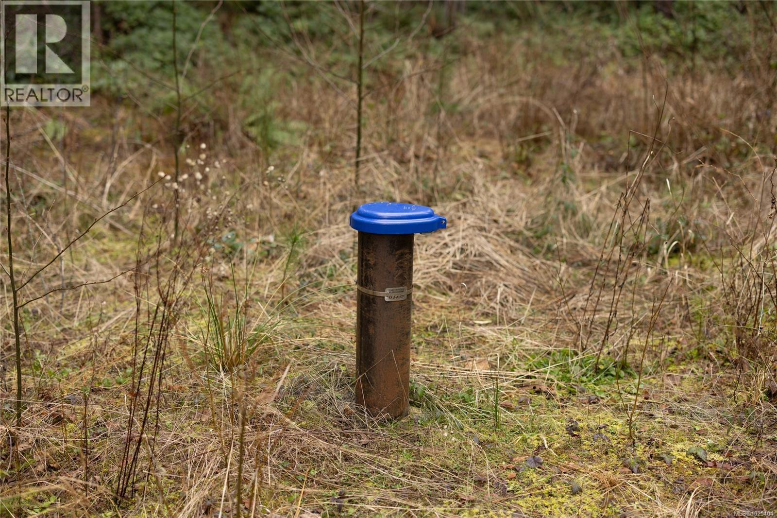 Lot 4 Flail photo 5