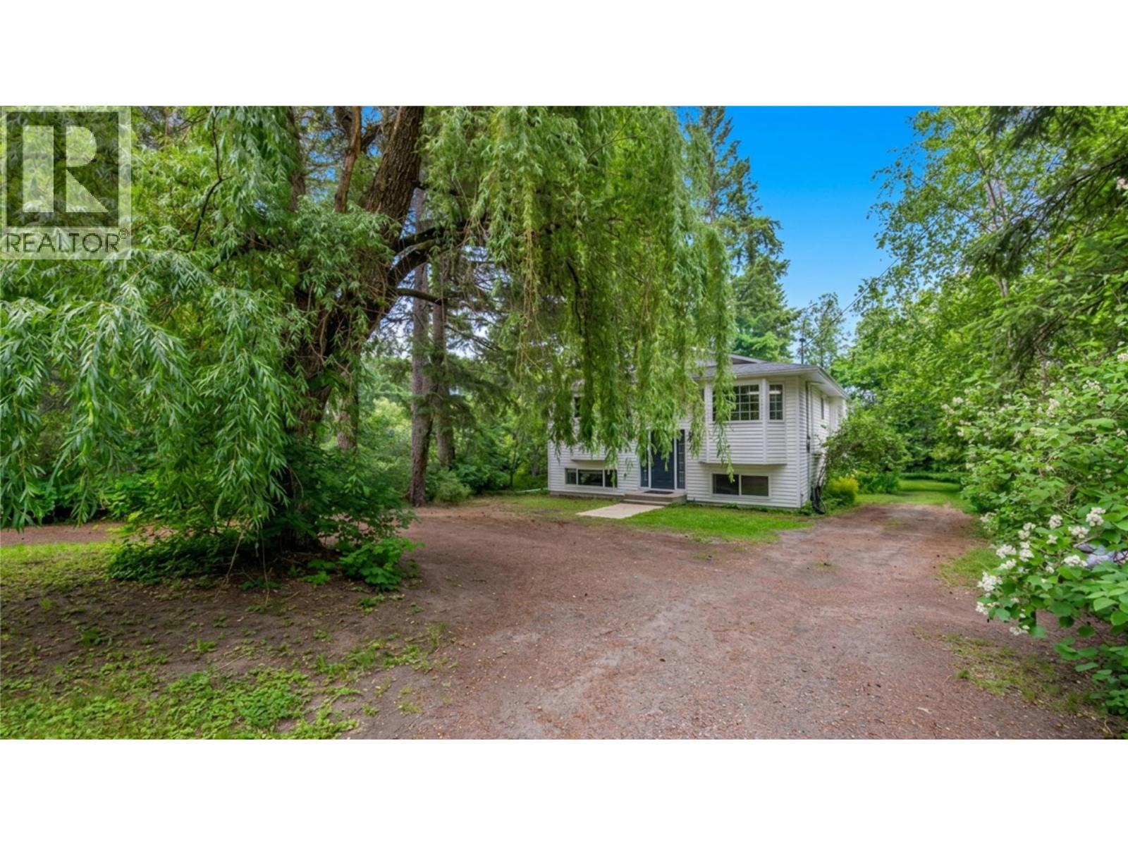 33 Birch
