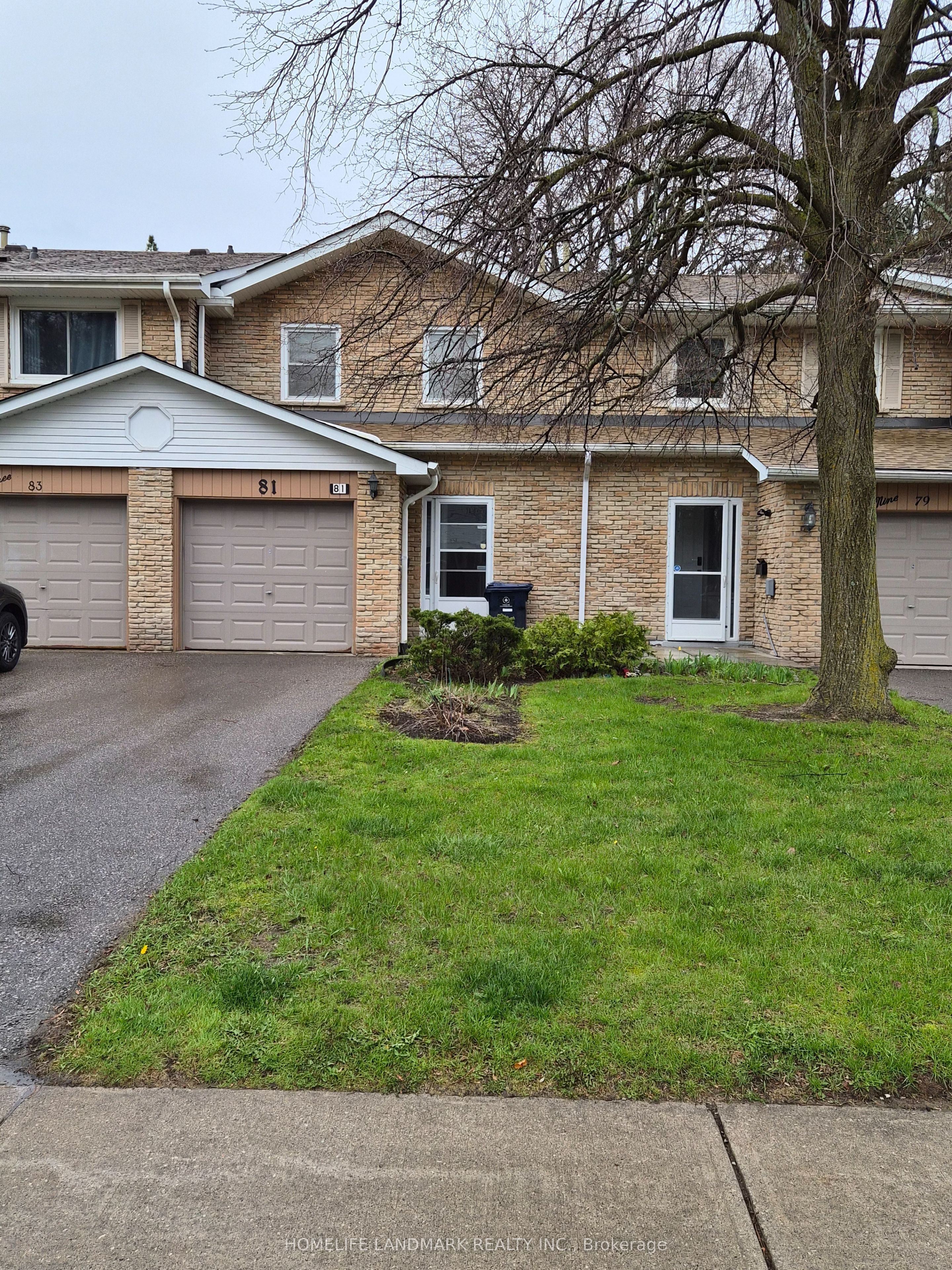 81 Brimwood