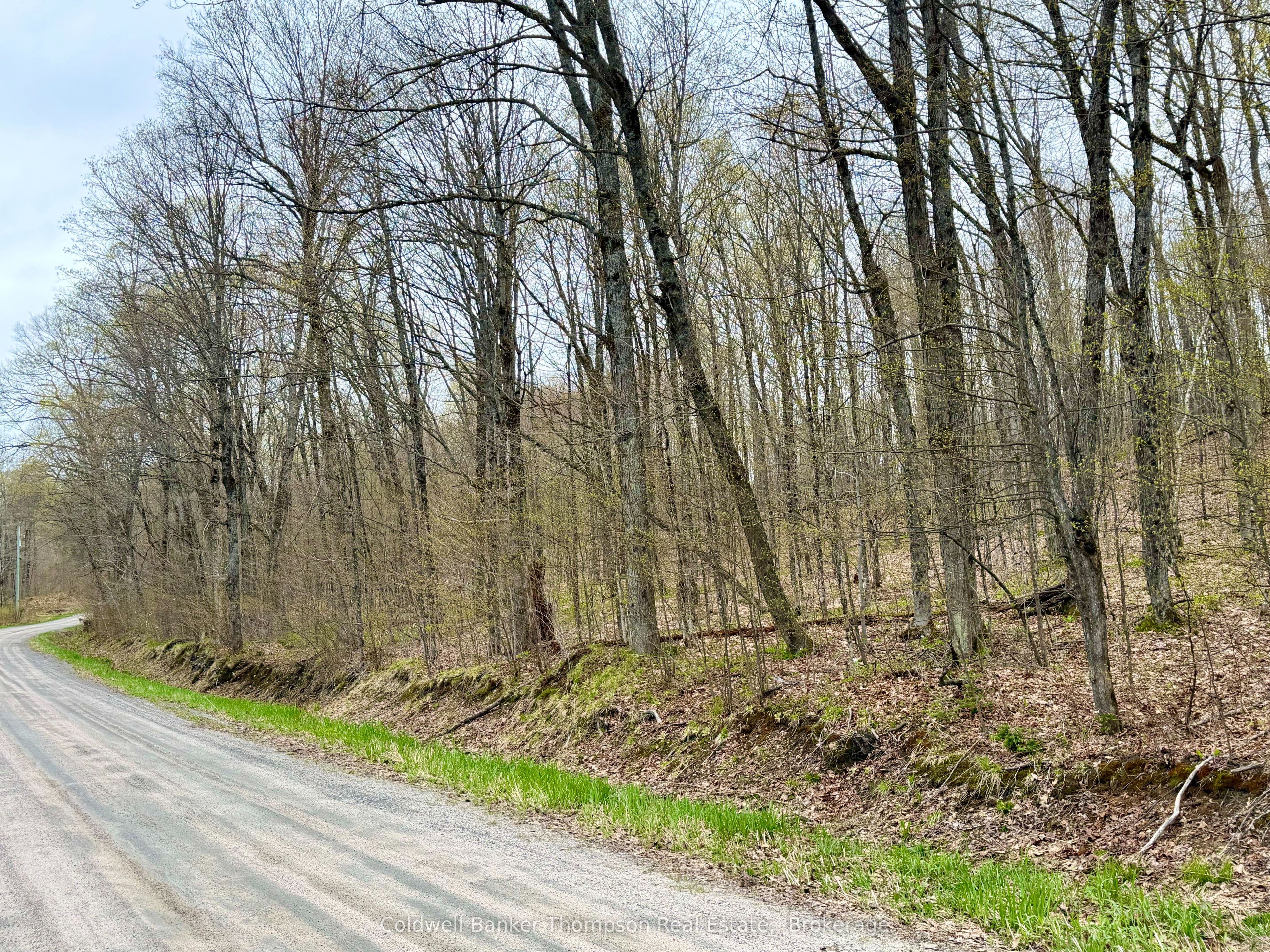 842 Seagull Lake