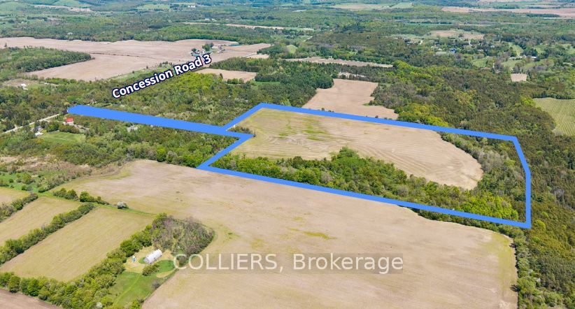 3779 Concession Rd 3 photo 2