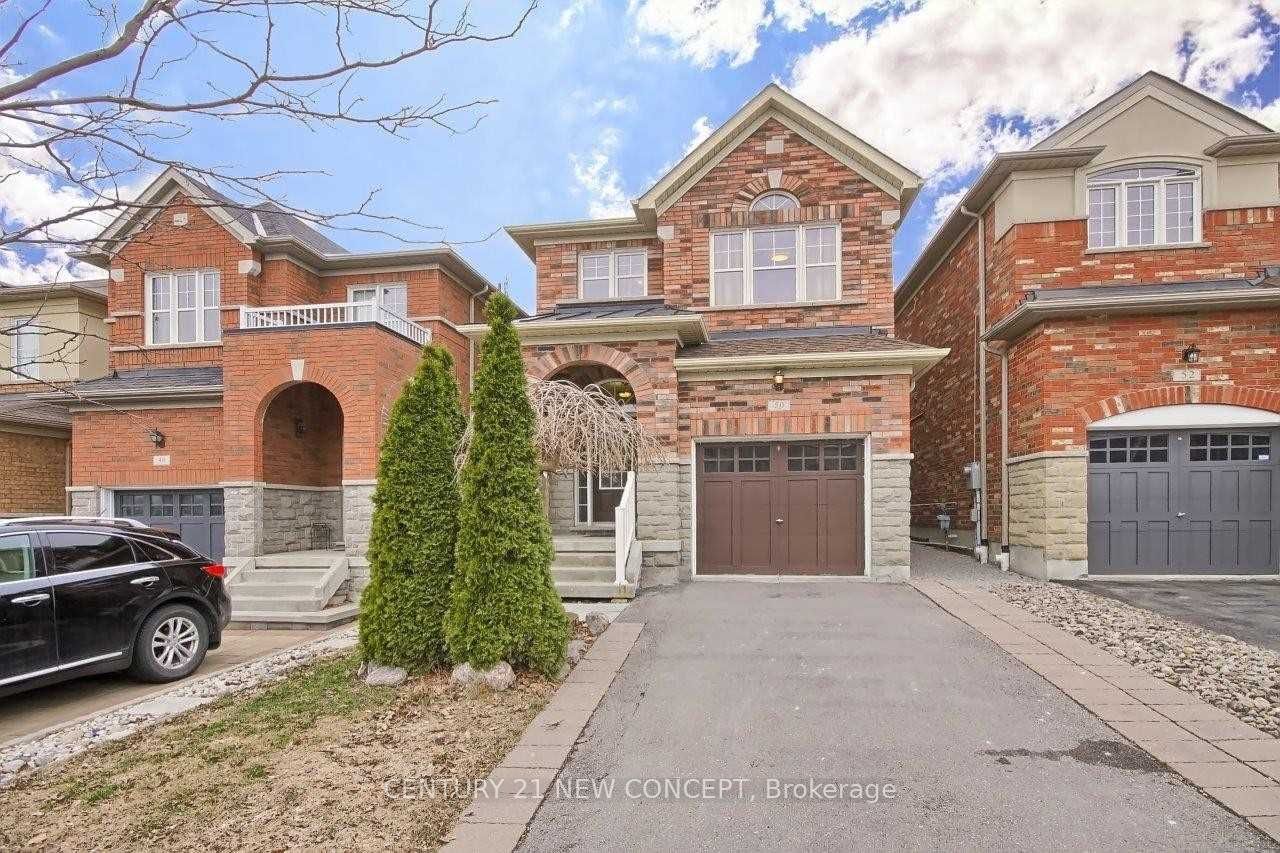 50 Woodville