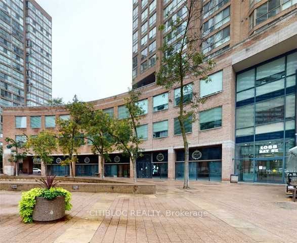 1033 Bay Unit 306