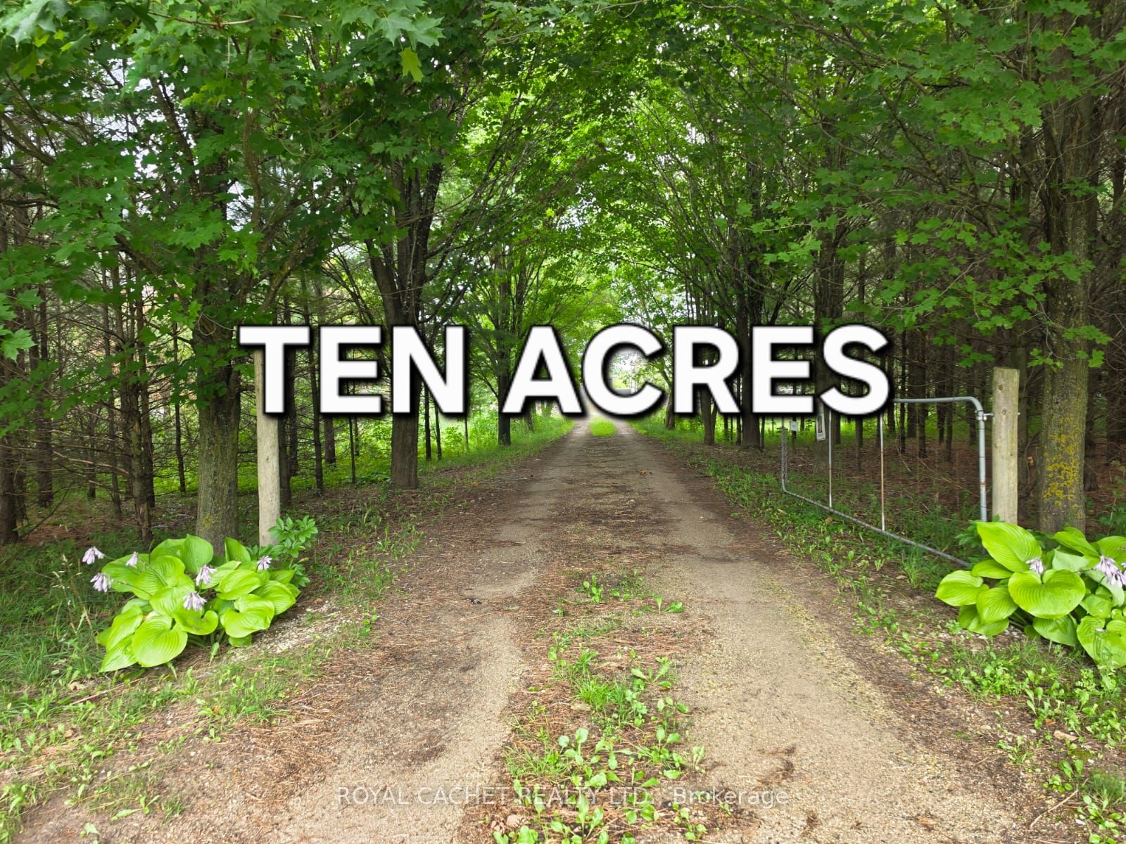 111447 GREY COUNTY RD 14 photo 2