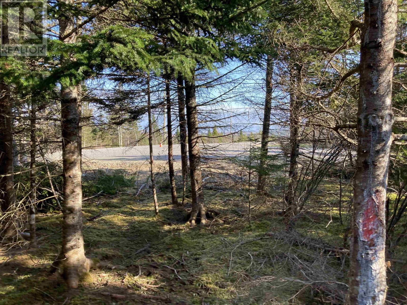 Lot 21-7 Mary Cecelia Ridge photo 3