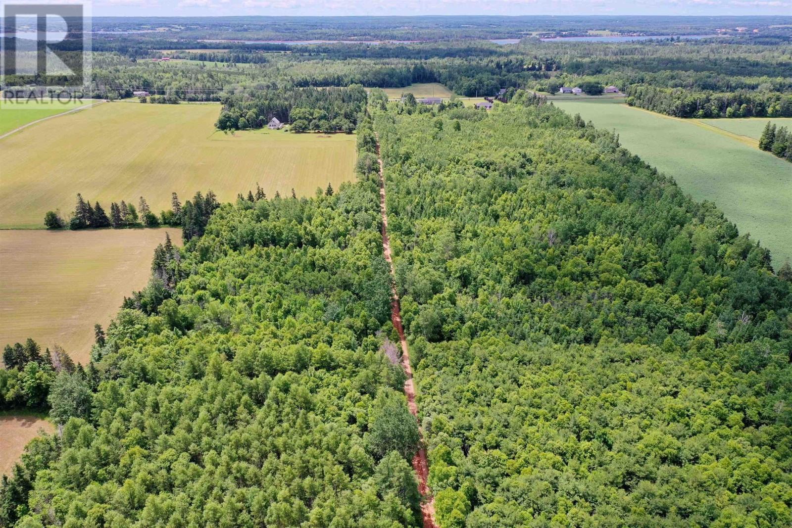 Lot 12 Birch