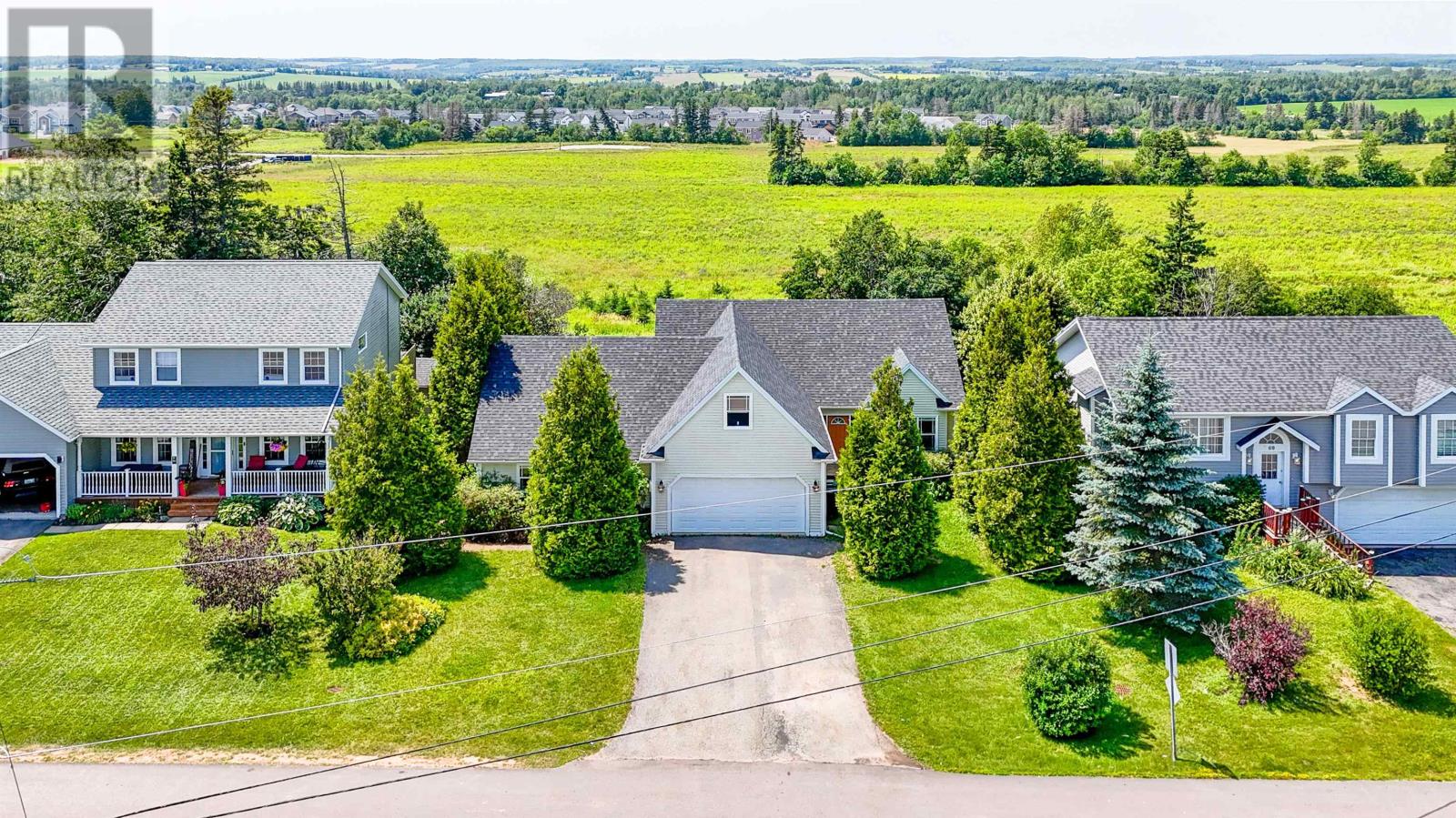 65 Alderwood