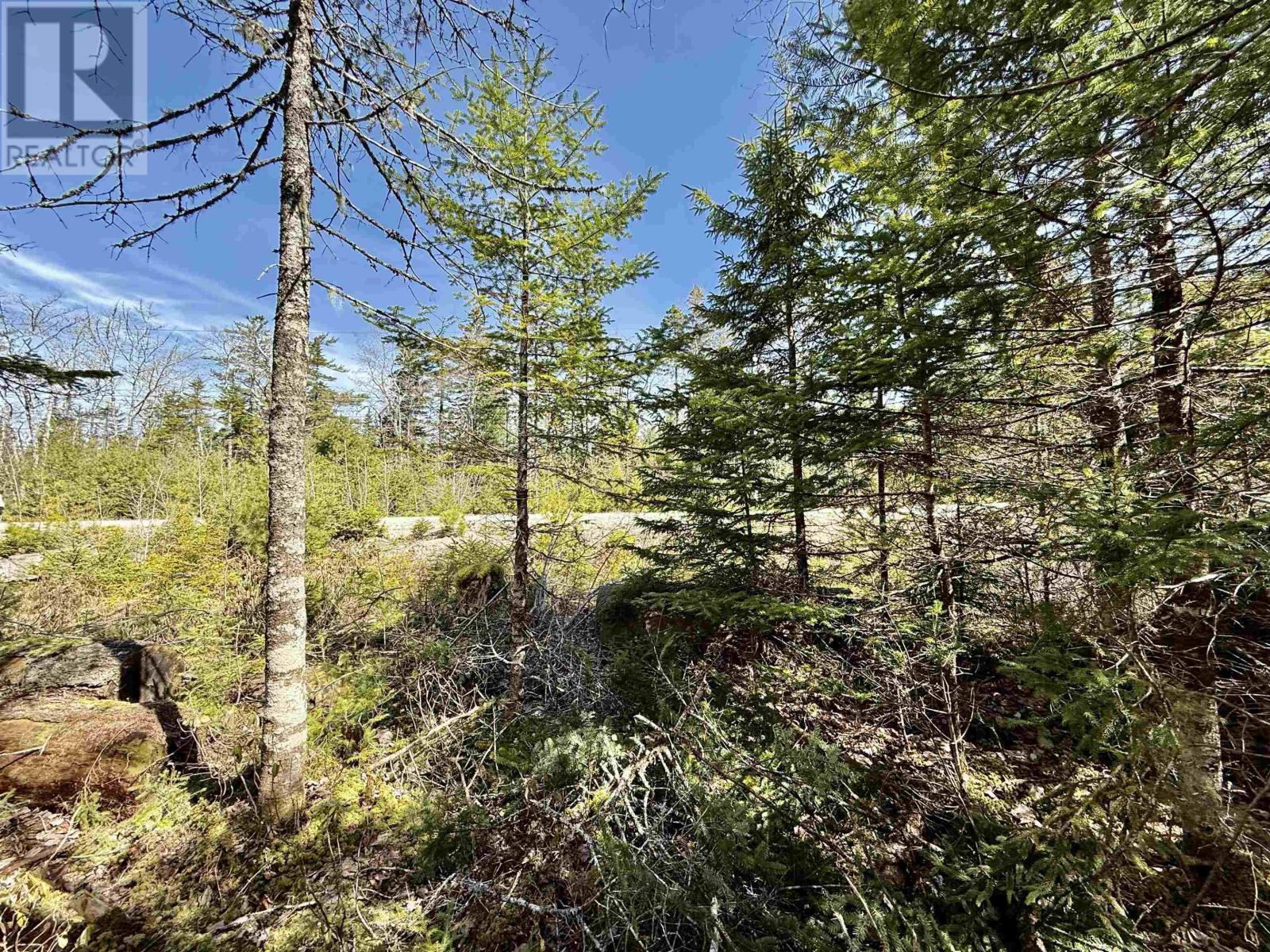 Lot 32 Dynasty Court
