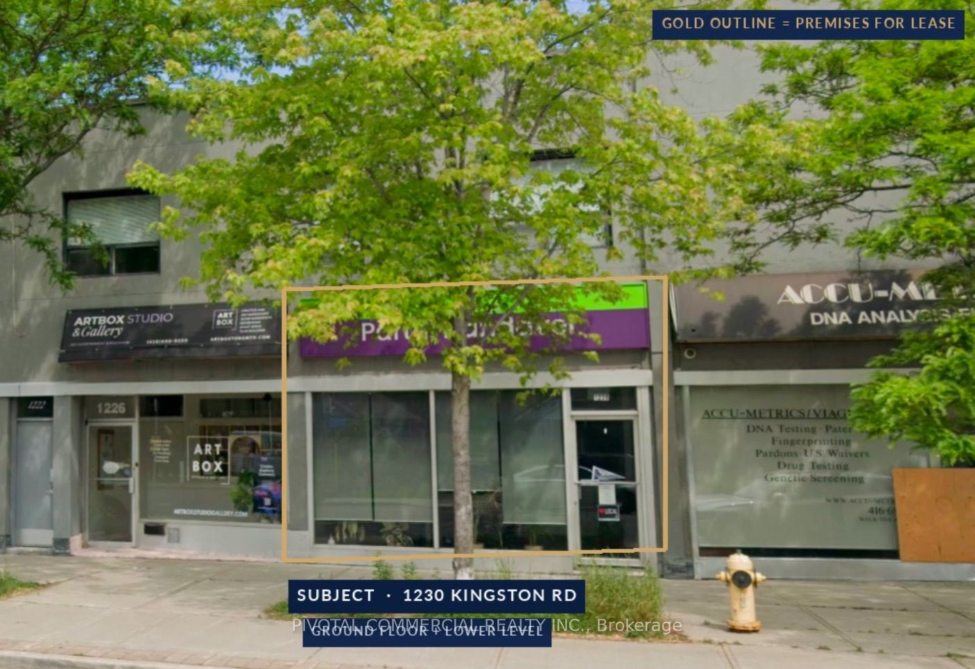 1230 Kingston Unit 100