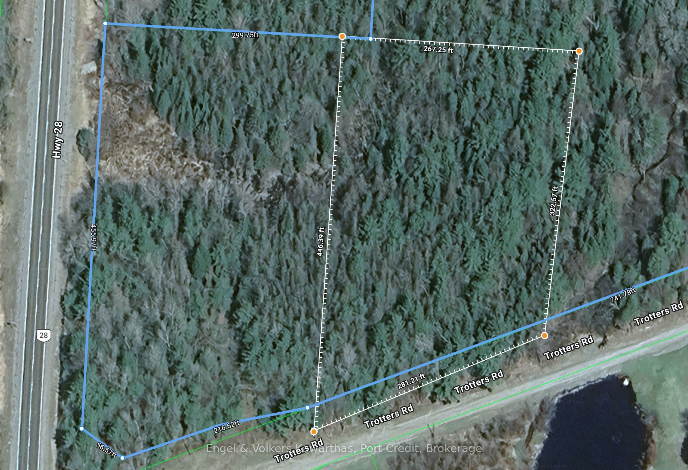 Estimated Lot lines