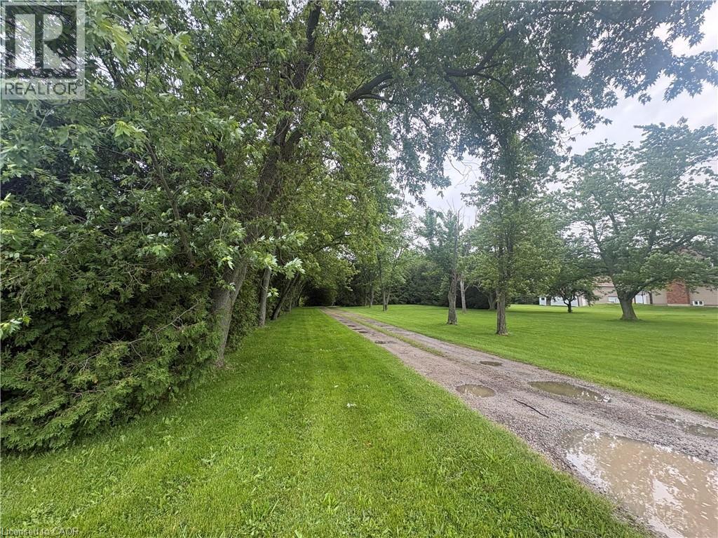 165 RIDGE