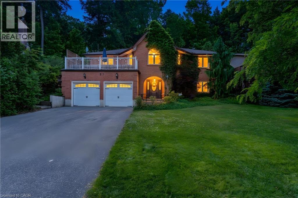37 YELLOW BIRCH