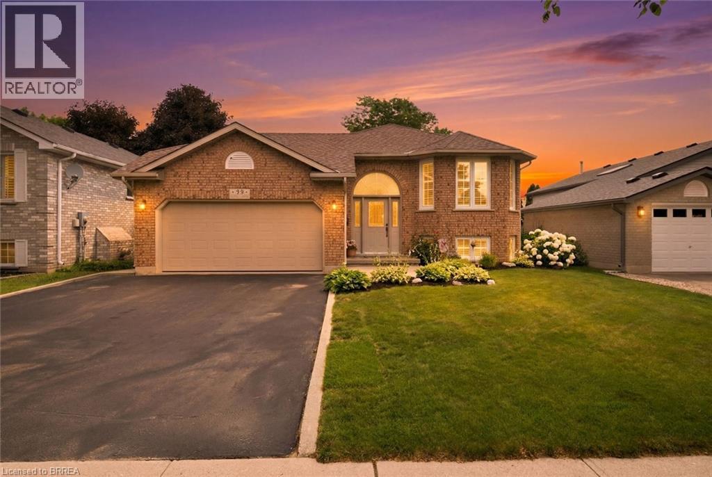 38 OLIVETREE