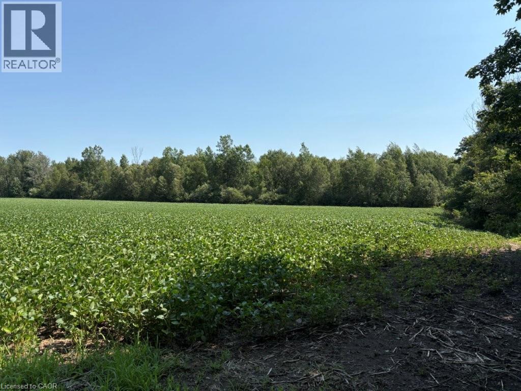 1194 CONCESSION 14
