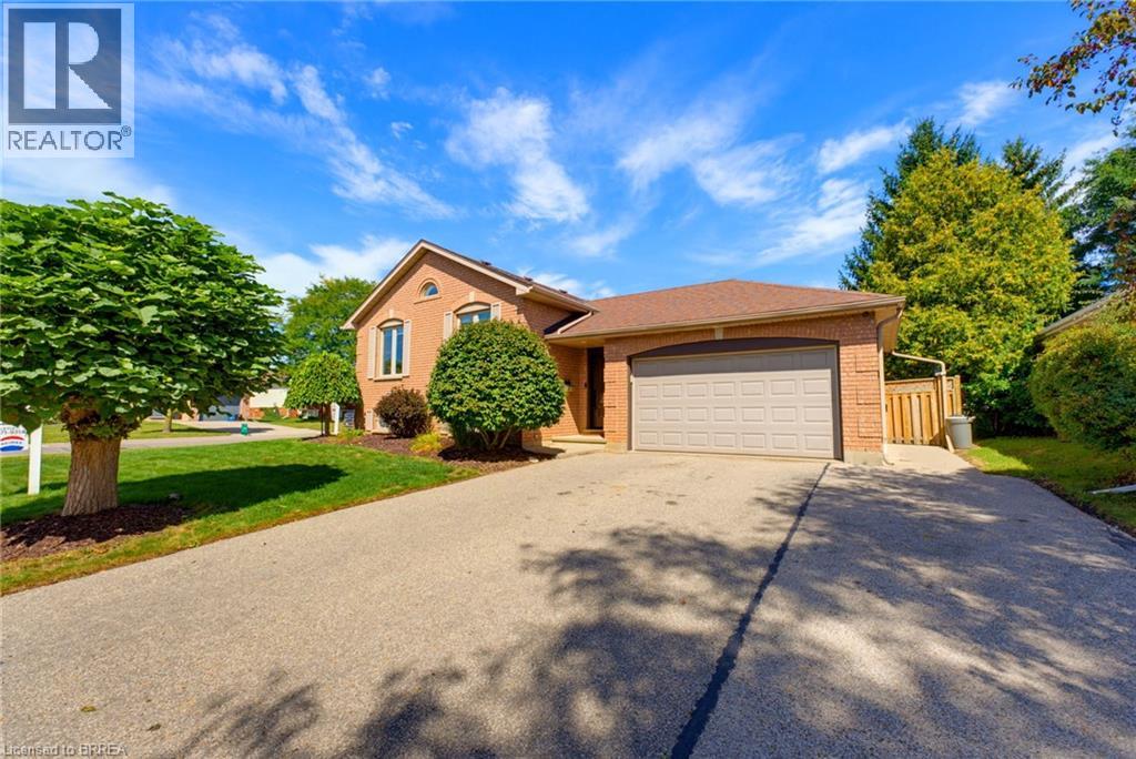 82 OLIVETREE