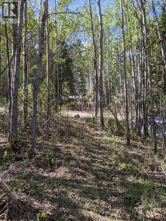 15538 Old Trail Unit 234 photo 4