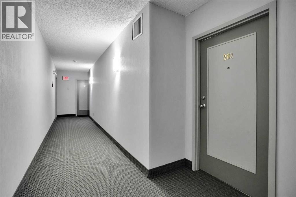1720 13 Unit 203 photo 4