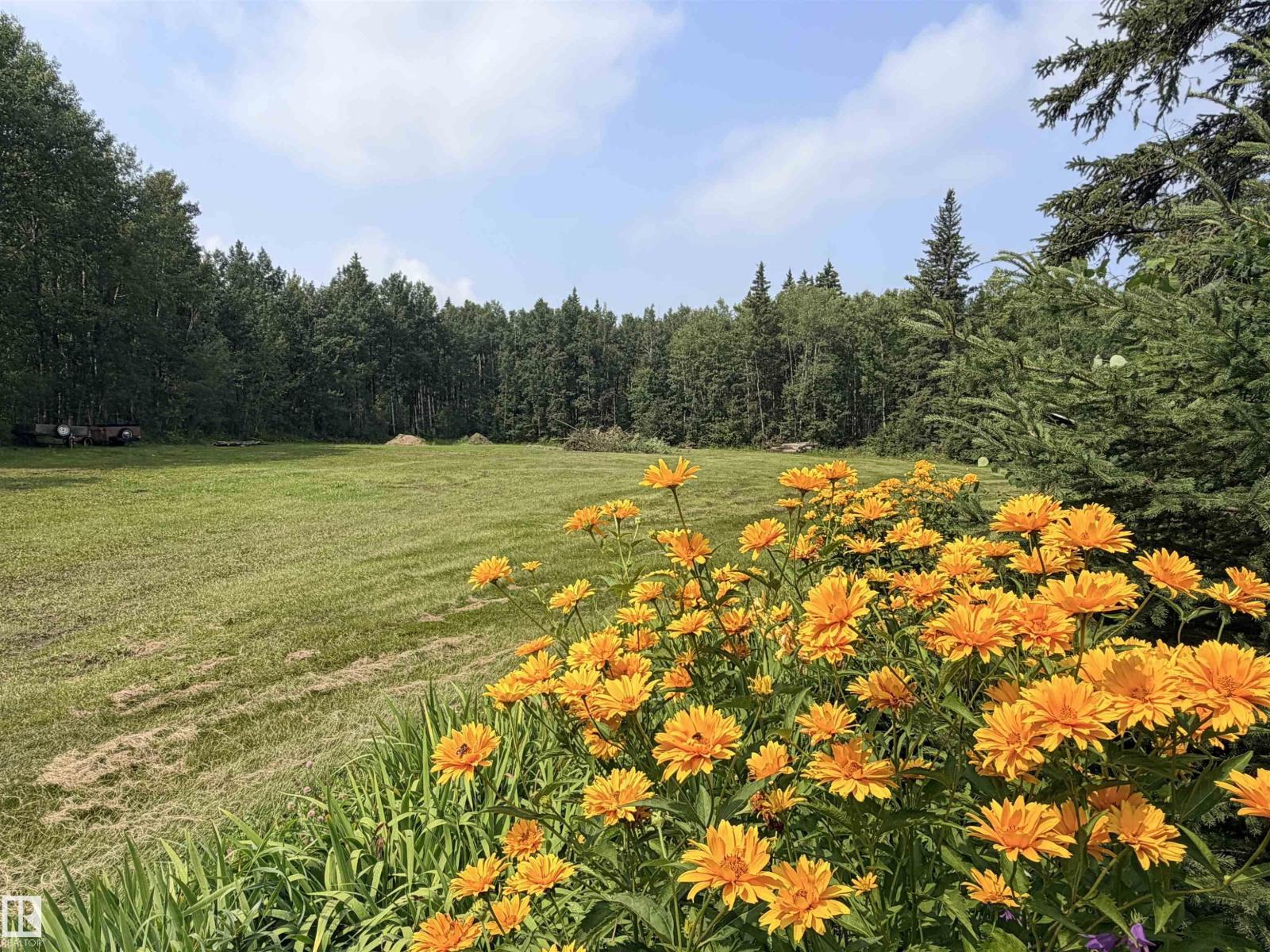 3306 RAIL GRADE RD