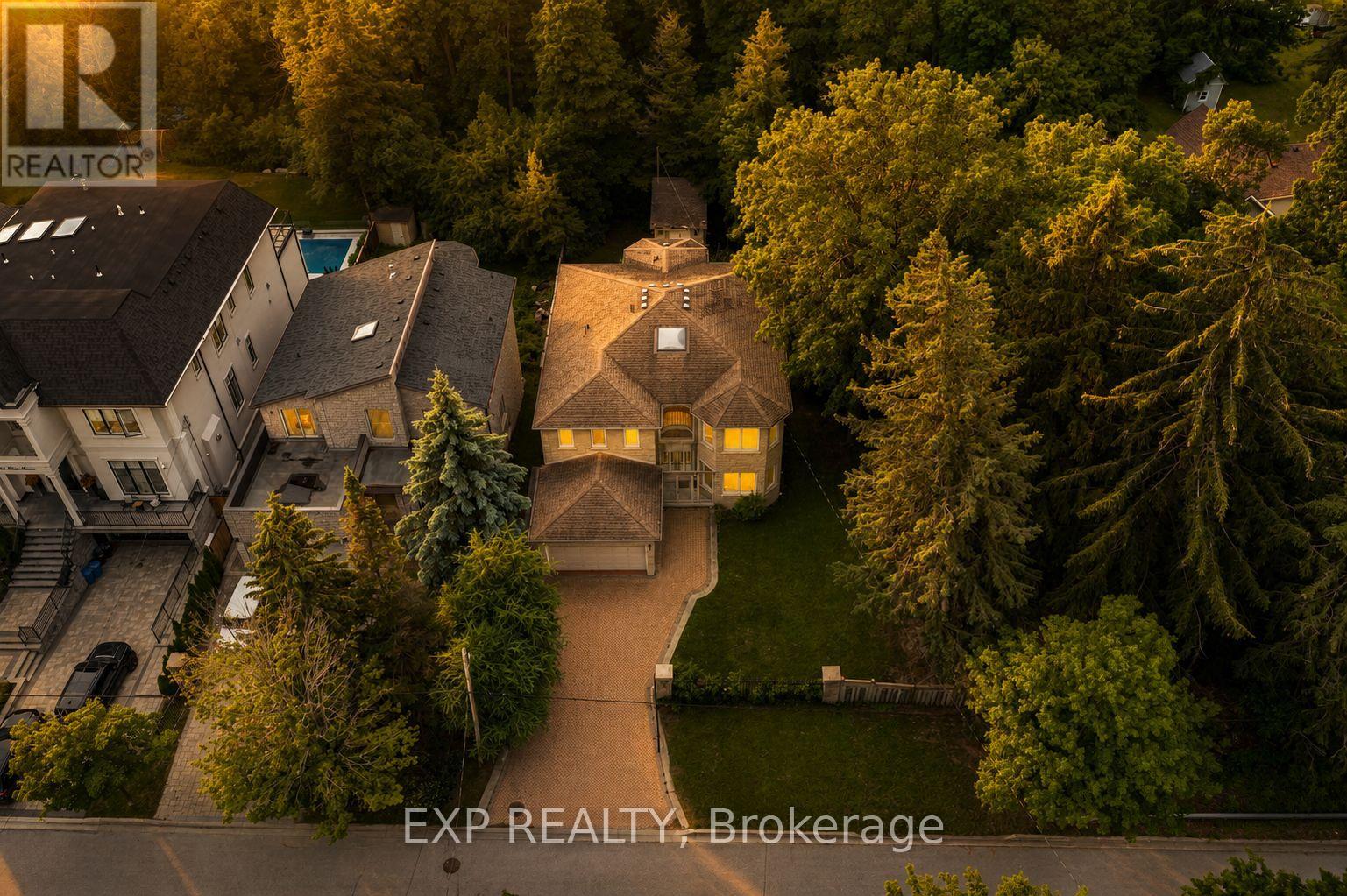 99 Birch