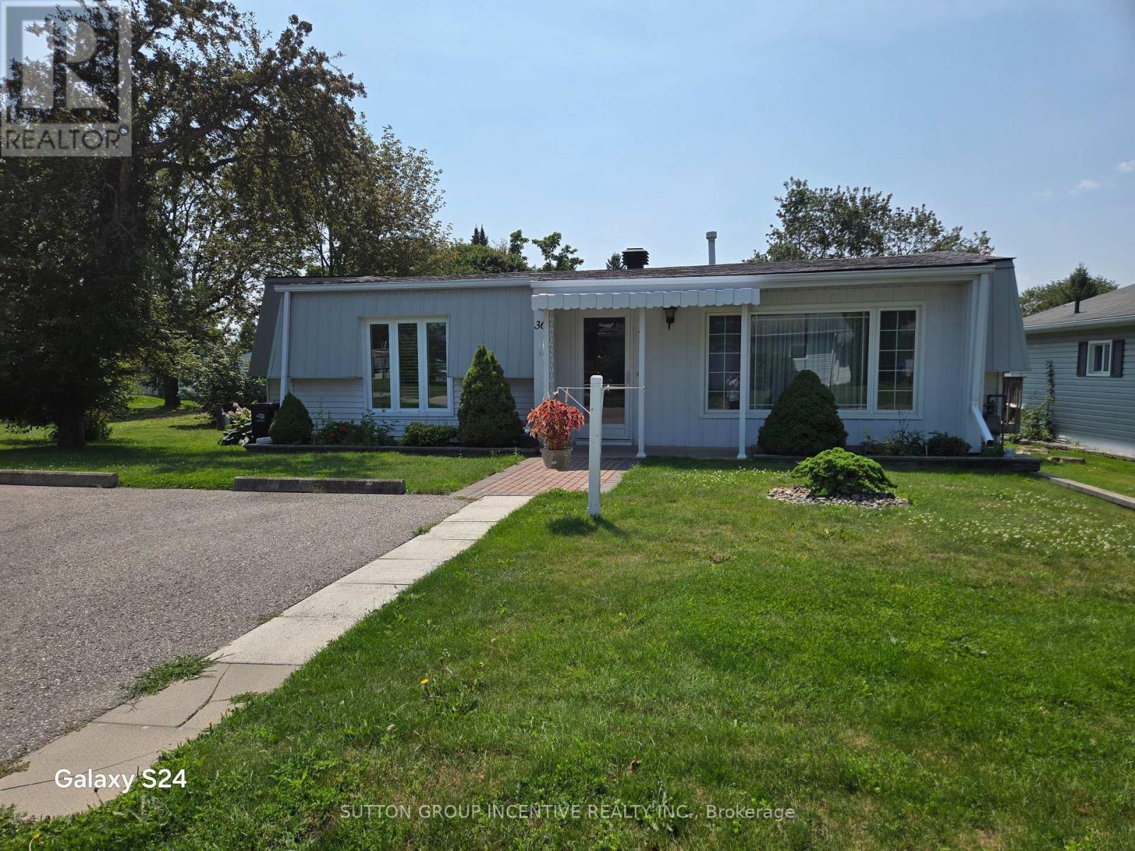 36 Weeping Willow