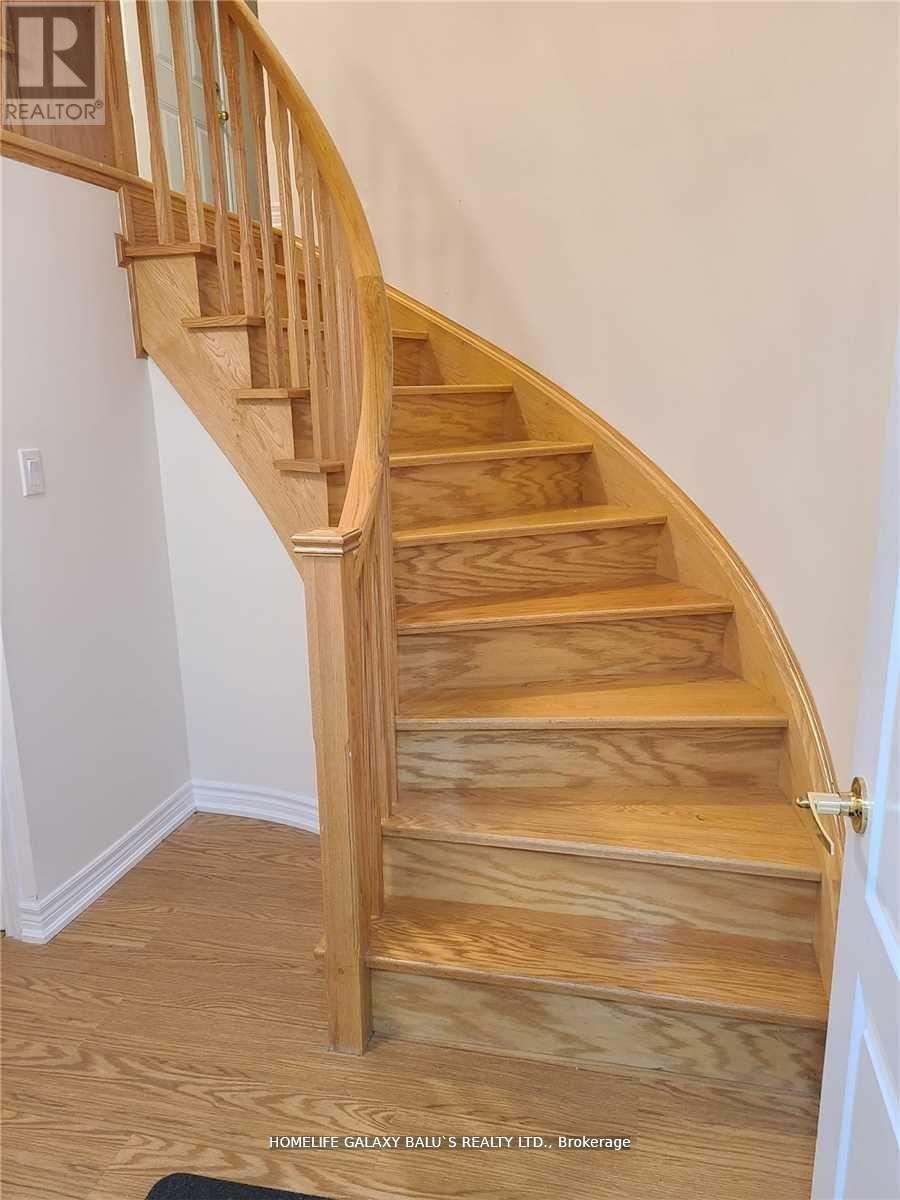 4 Malborough Unit (Basement) photo 2