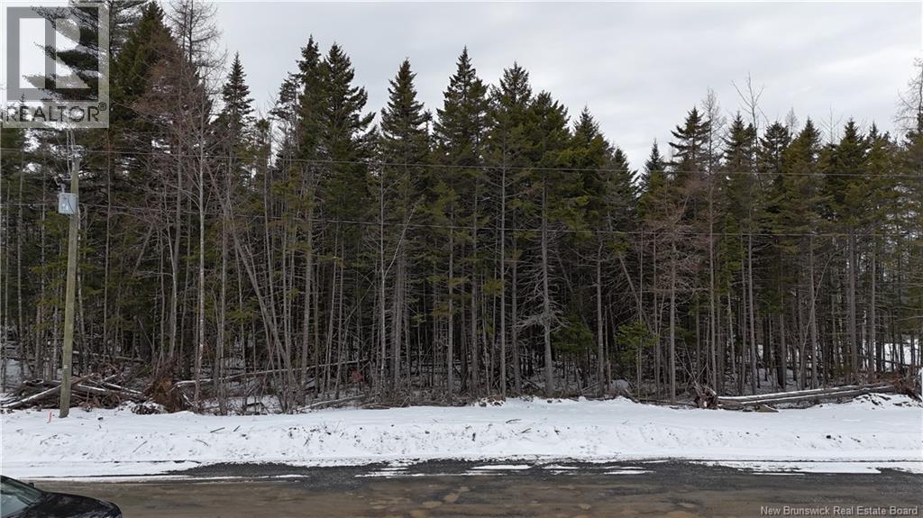 LOT 2024-20 EAGLES Lane