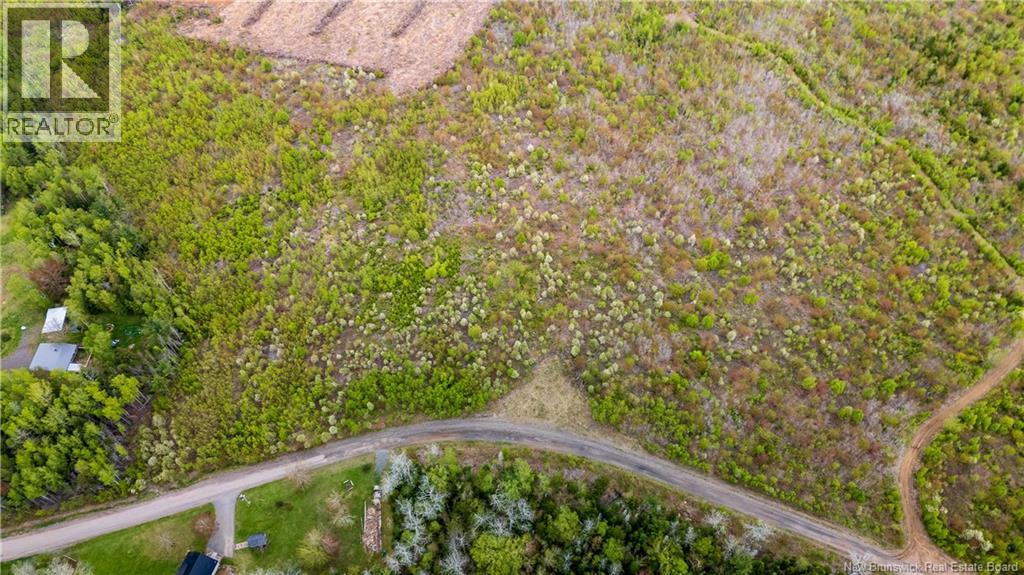 LOT 38 Davidson Road