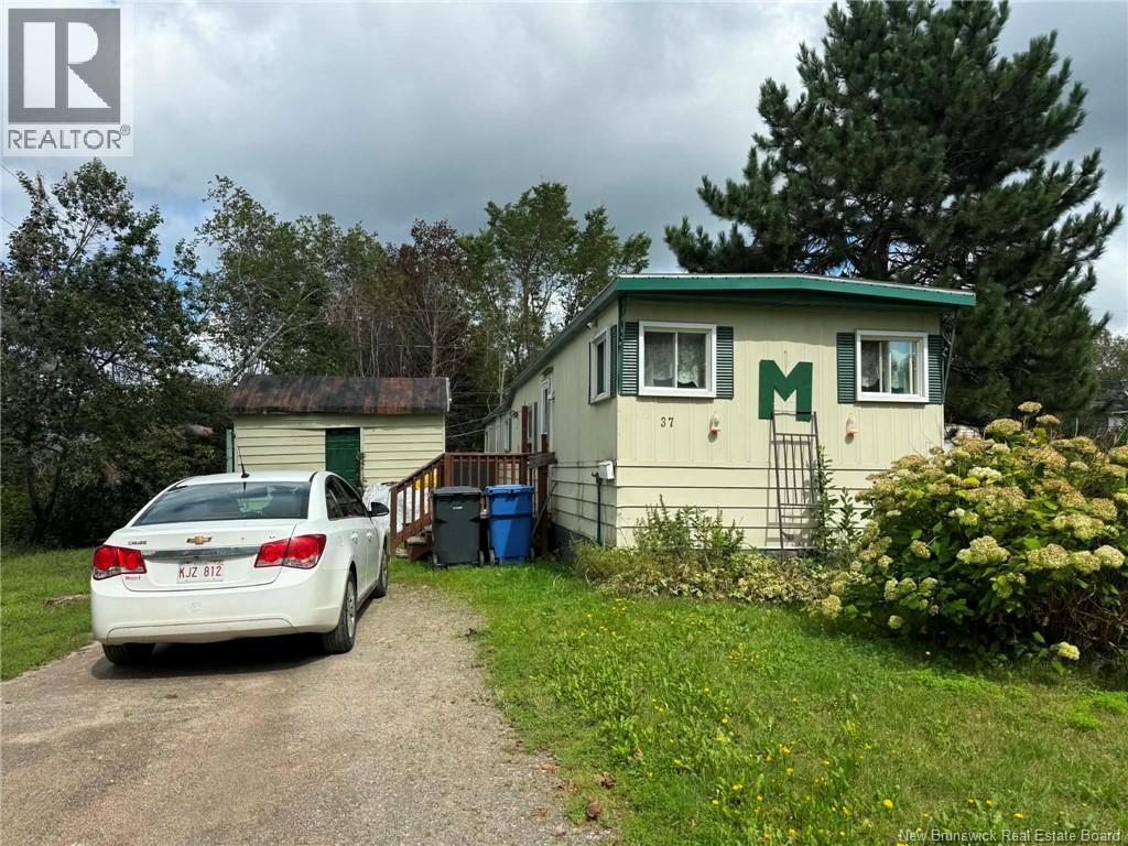 37 Bradd Street