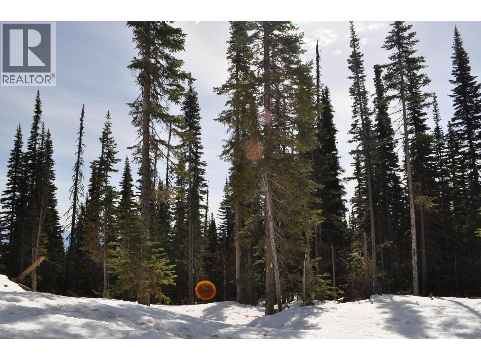 12 ALPINE Unit PST photo 2