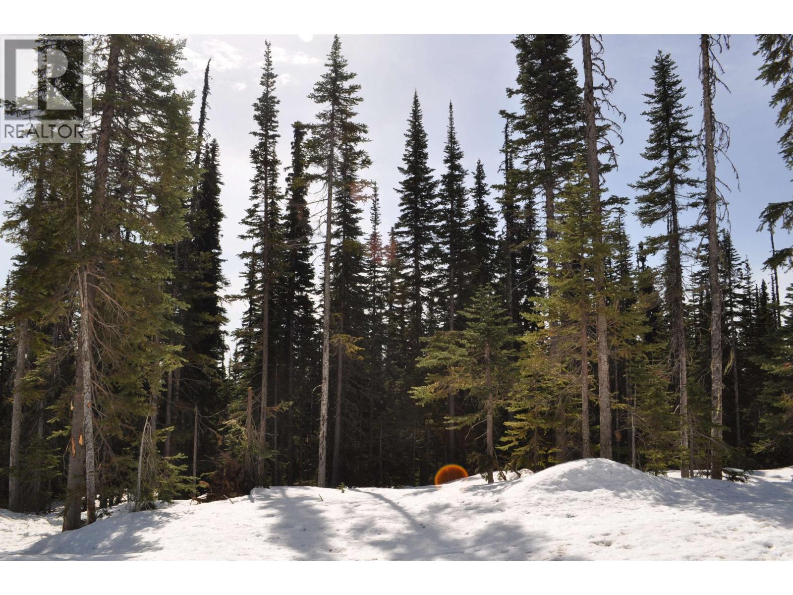 12 ALPINE Unit PST photo 3