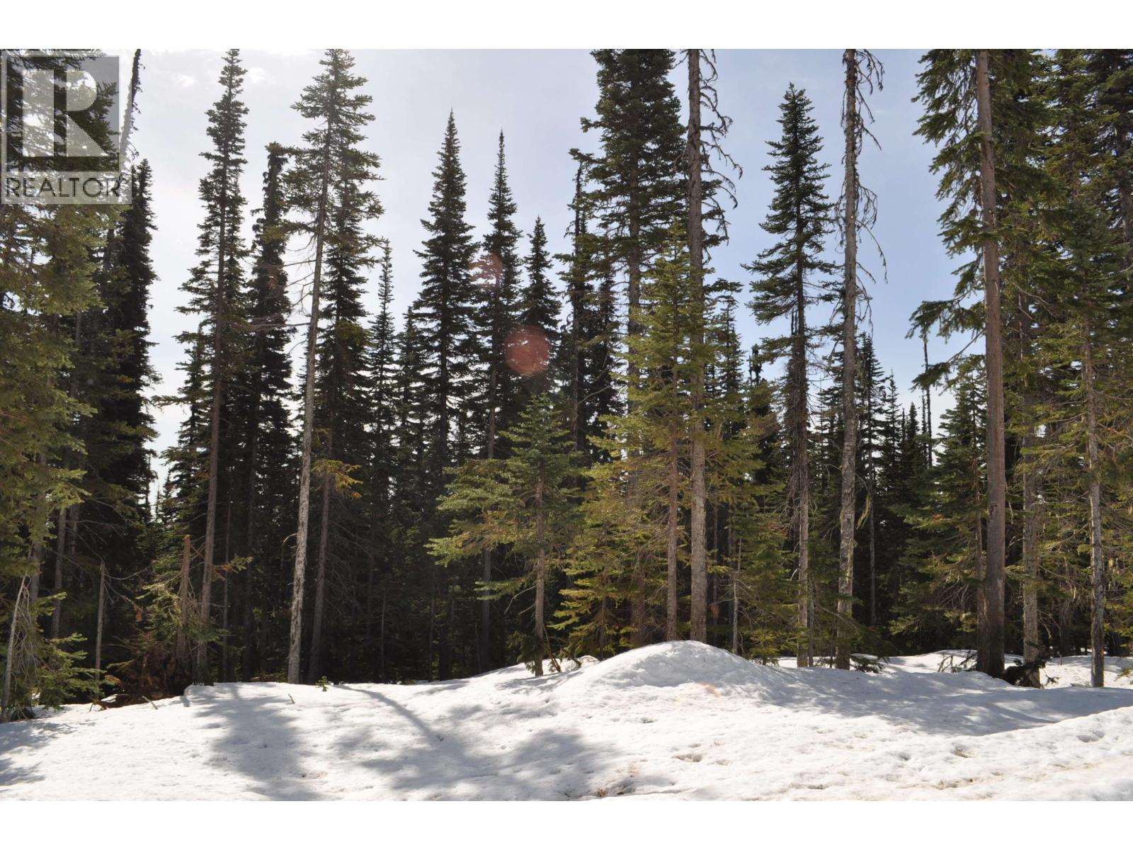 12 ALPINE Unit PST photo 4
