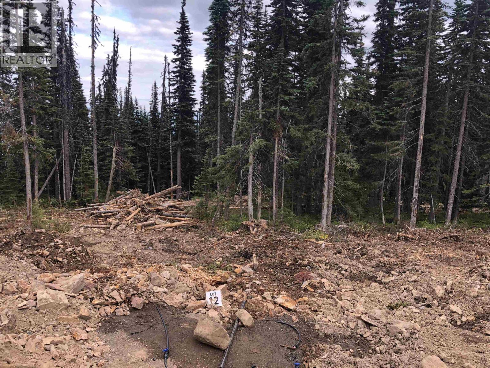 12 ALPINE Unit PST photo 5