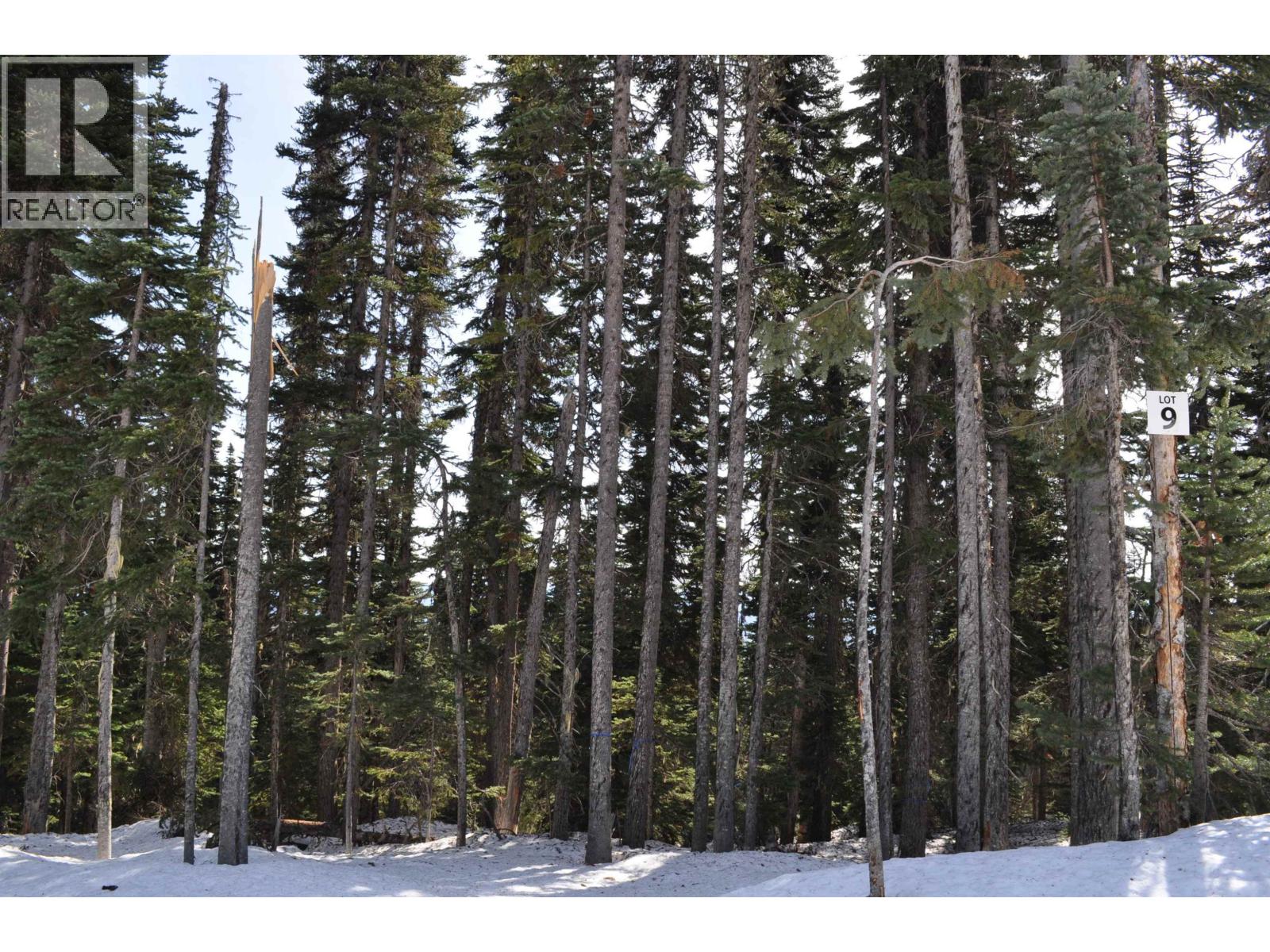 9 ALPINE Unit PST photo 2