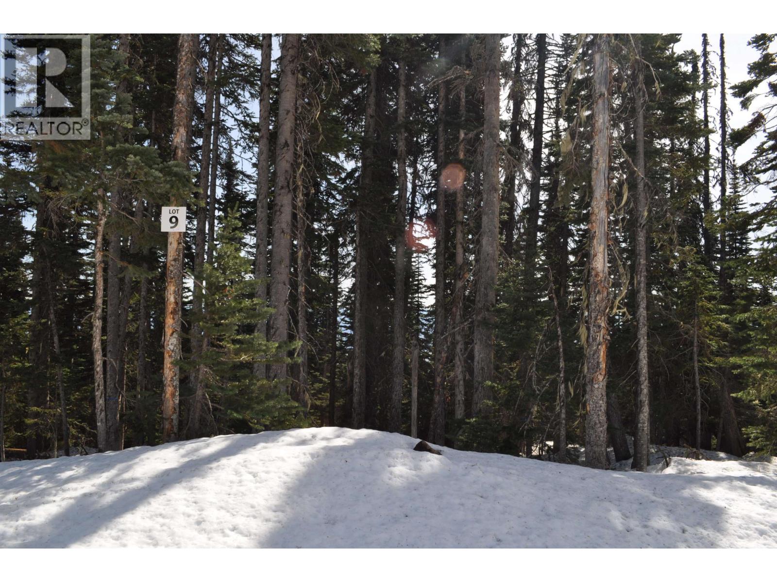 9 ALPINE Unit PST photo 3