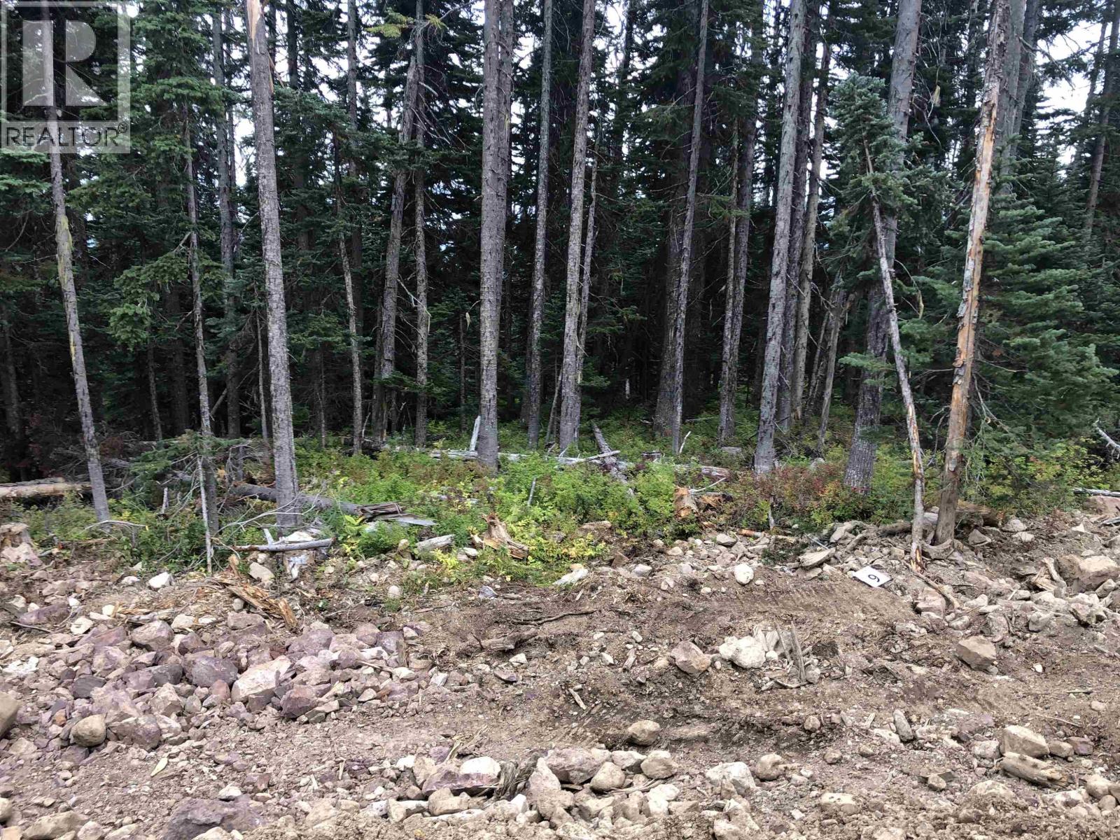 9 ALPINE Unit PST photo 4