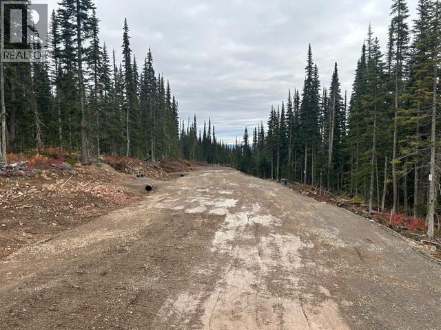9 ALPINE Unit PST photo 5