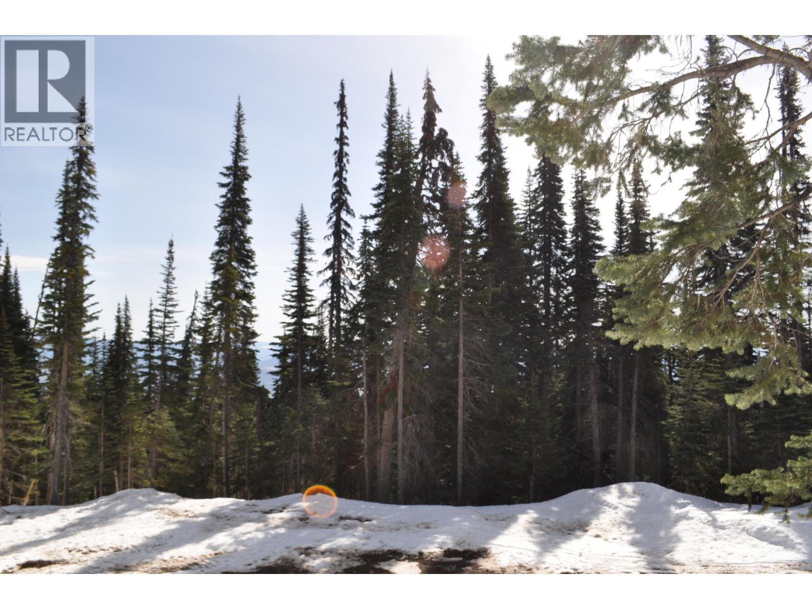 ST LT 7 ALPINE Unit PT. photo 3