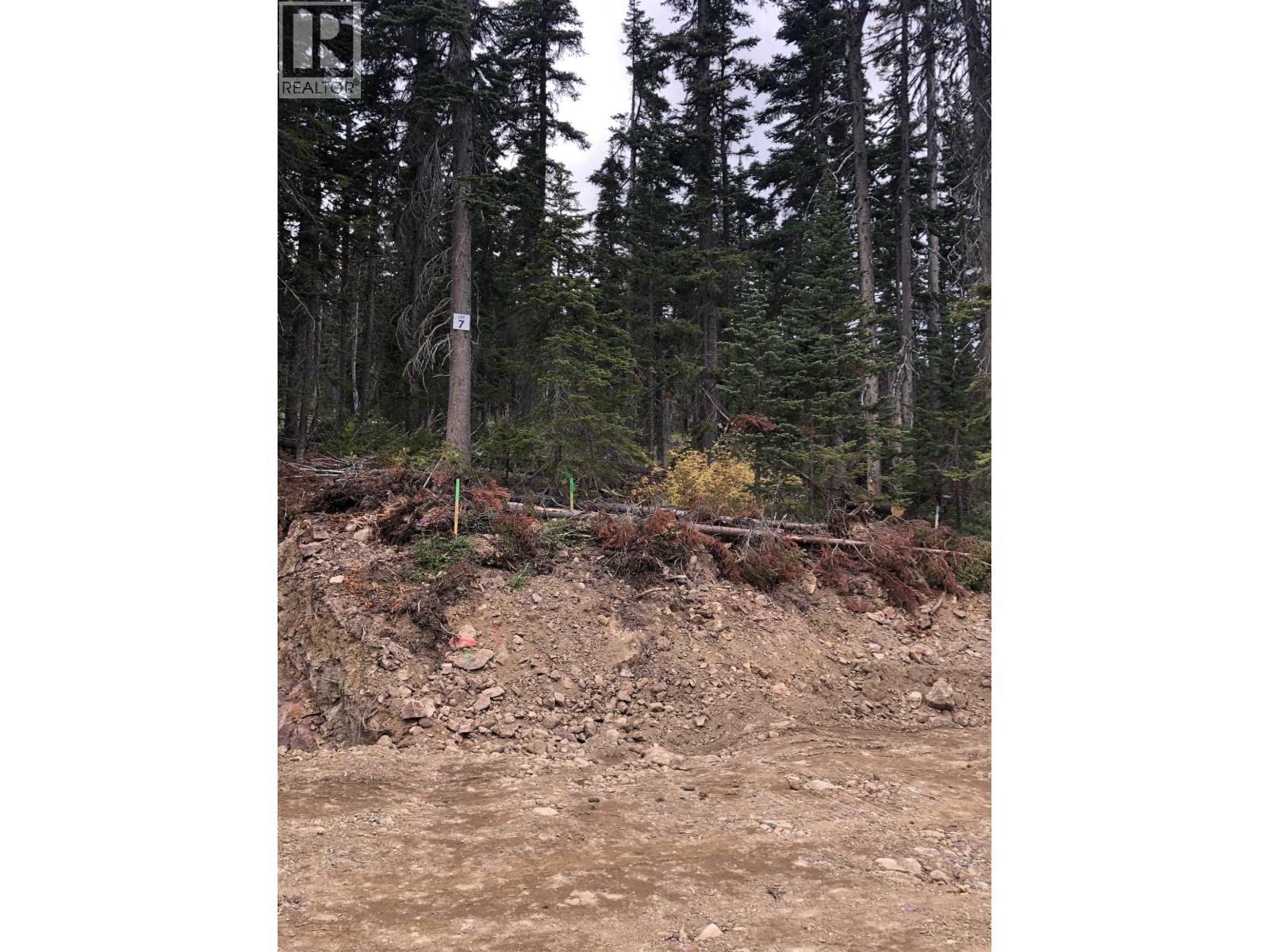 ST LT 7 ALPINE Unit PT. photo 4