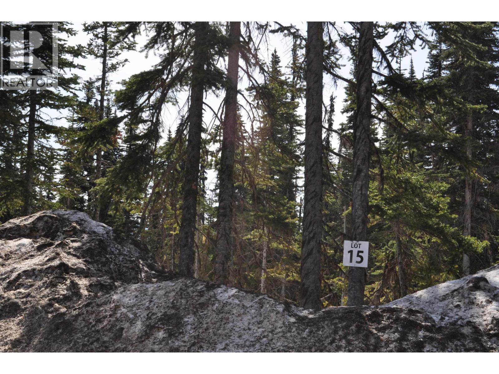 Lt 15 ALPINE Unit Pr. St photo 5