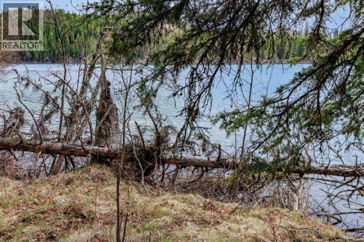 6062 MAHOOD LAKE photo 5