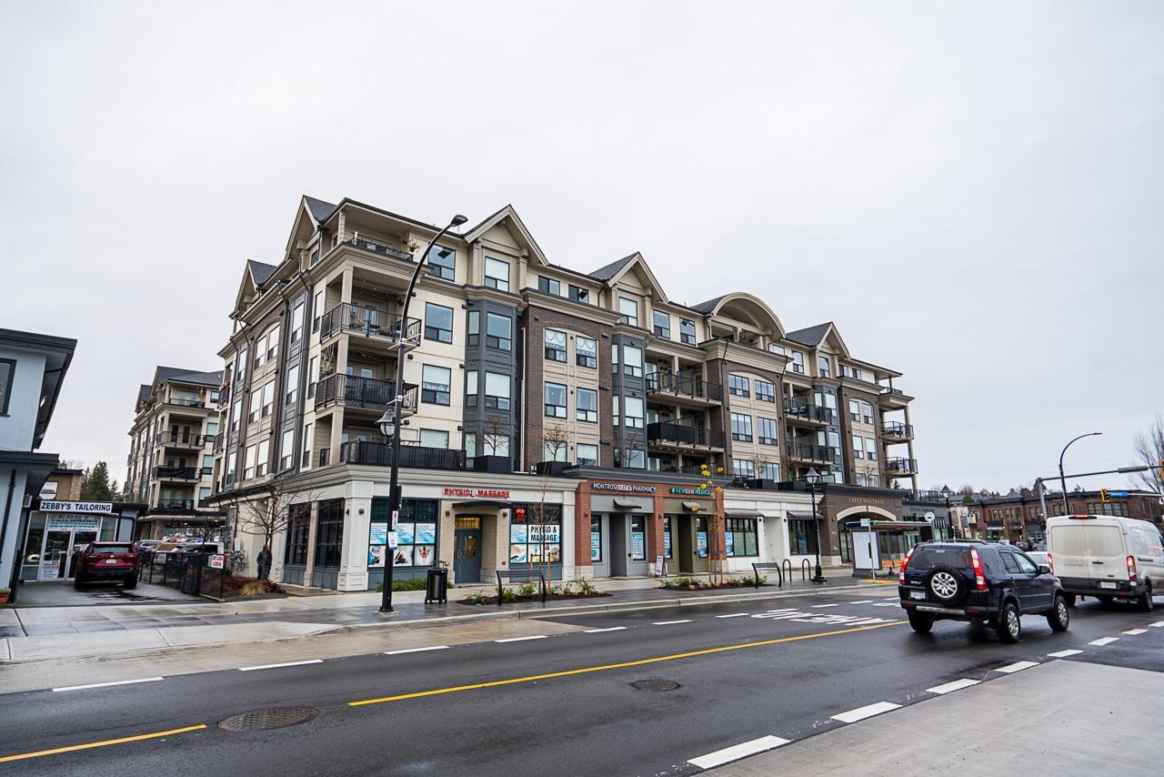 2493 MONTROSE Unit 301