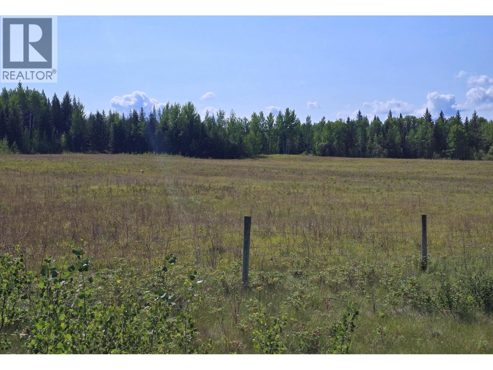 5031 HORSEFLY photo 4