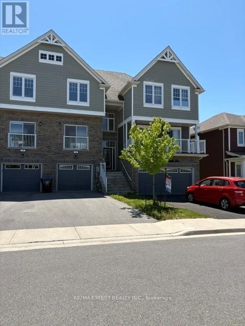 16 Hills Thistle