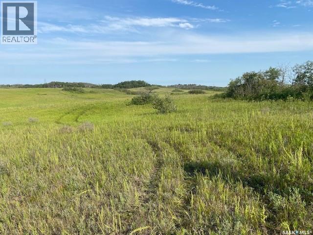 21 Acres Willow Cres Pike Lake Area photo 2