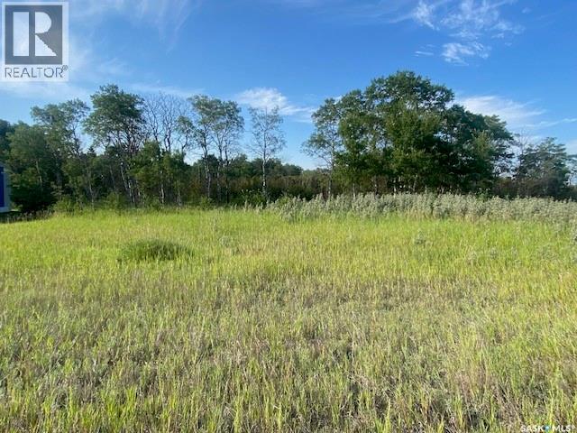 21 Acres Willow Cres Pike Lake Area photo 4