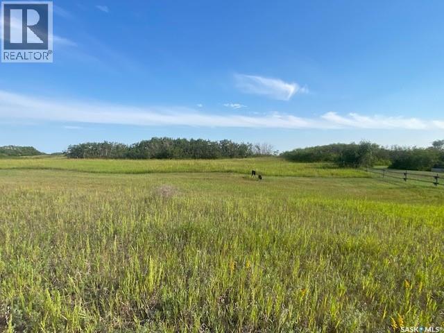 21 Acres Willow Cres Pike Lake Area photo 5
