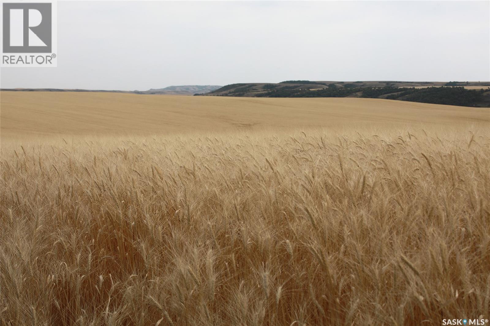 214.99 Acres Grainland Near Willow Bunch