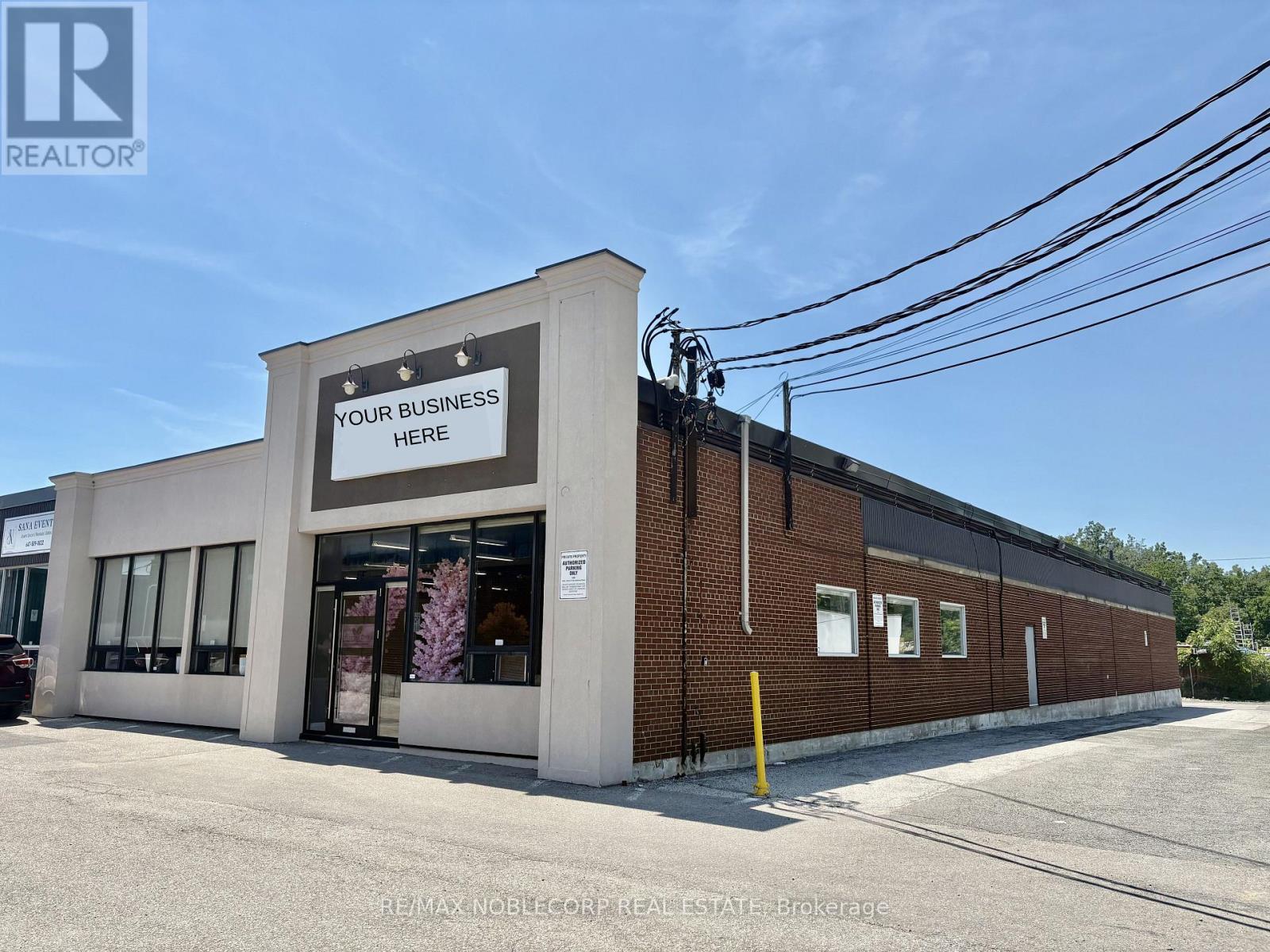 1194 Caledonia
