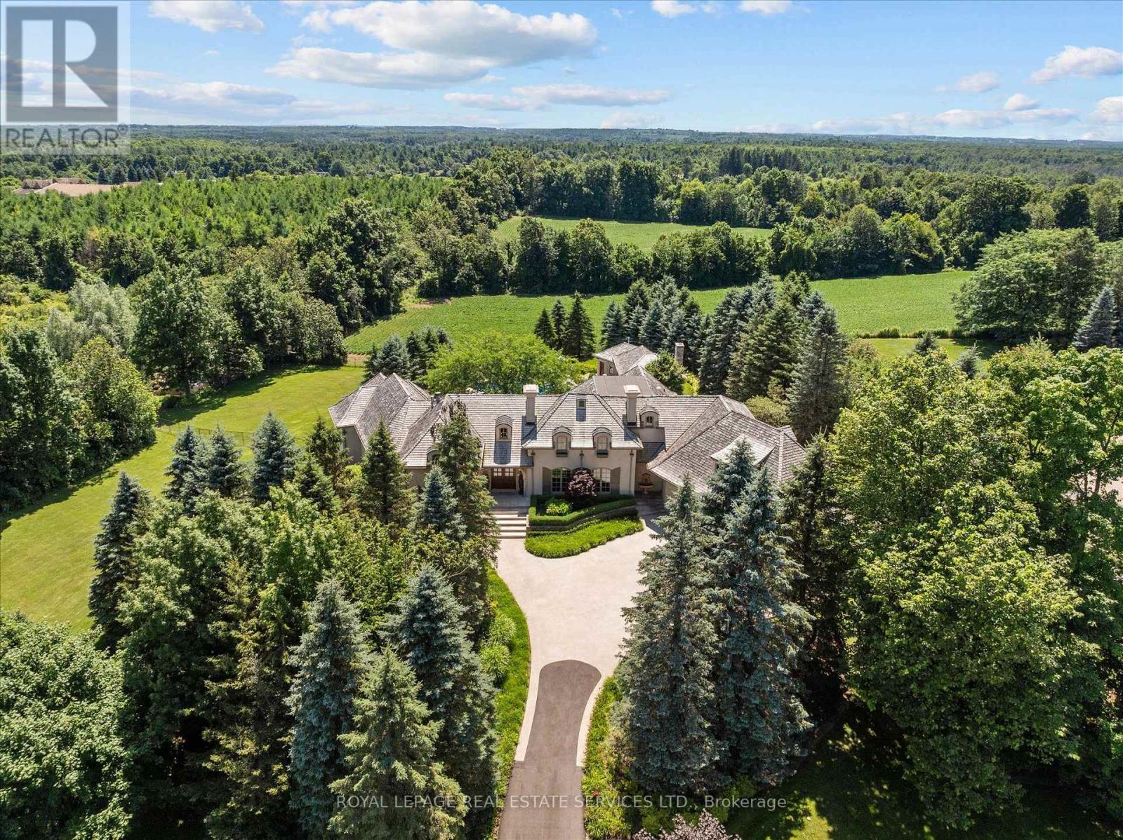 10090 Pineview